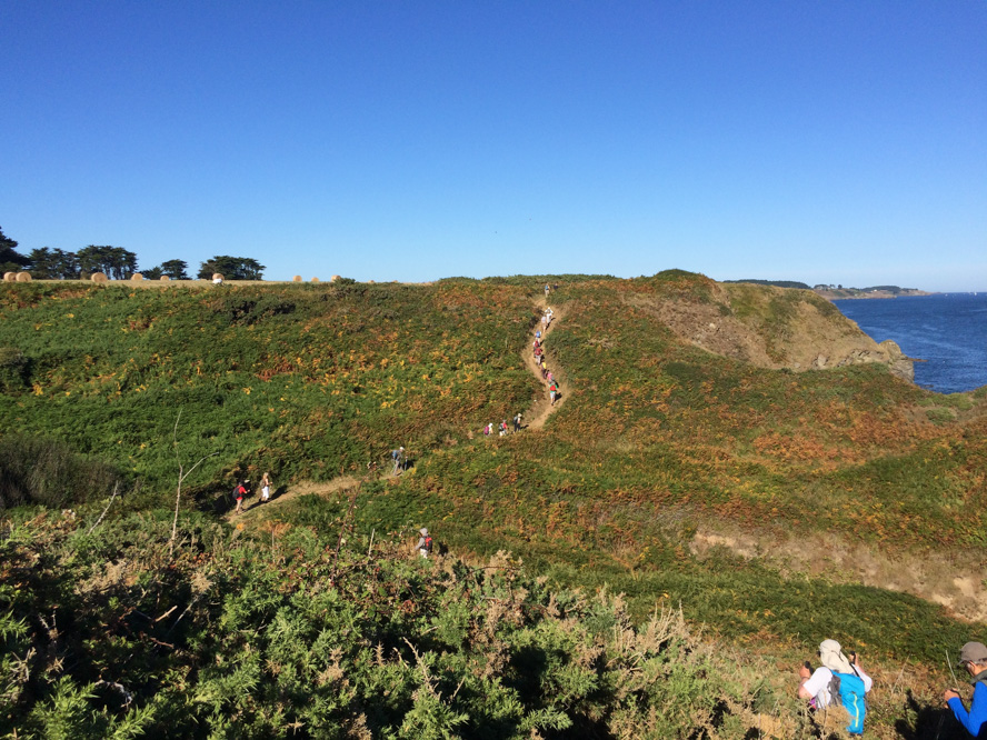 Stacks Image 91